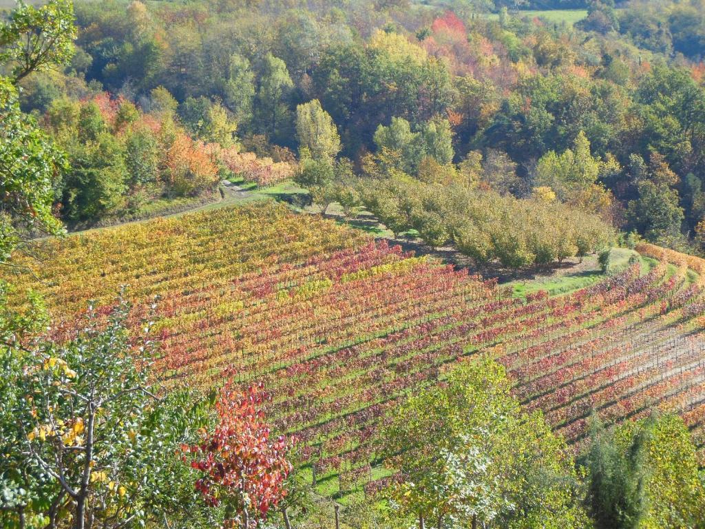 Agriturismo Affittacamere Barbarossa Доляни Екстериор снимка