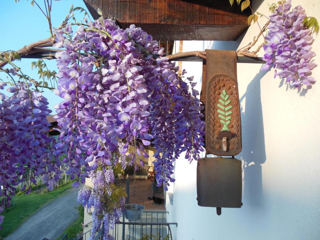 Agriturismo Affittacamere Barbarossa Доляни Екстериор снимка