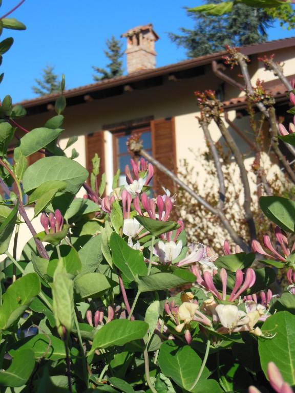Agriturismo Affittacamere Barbarossa Доляни Екстериор снимка