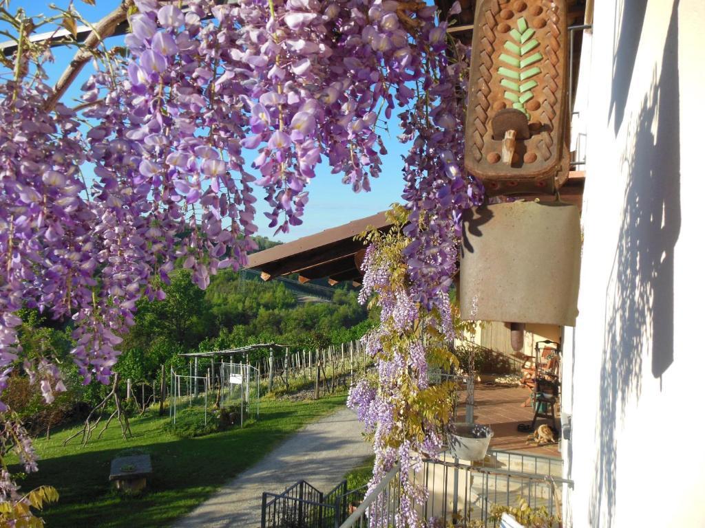 Agriturismo Affittacamere Barbarossa Доляни Екстериор снимка
